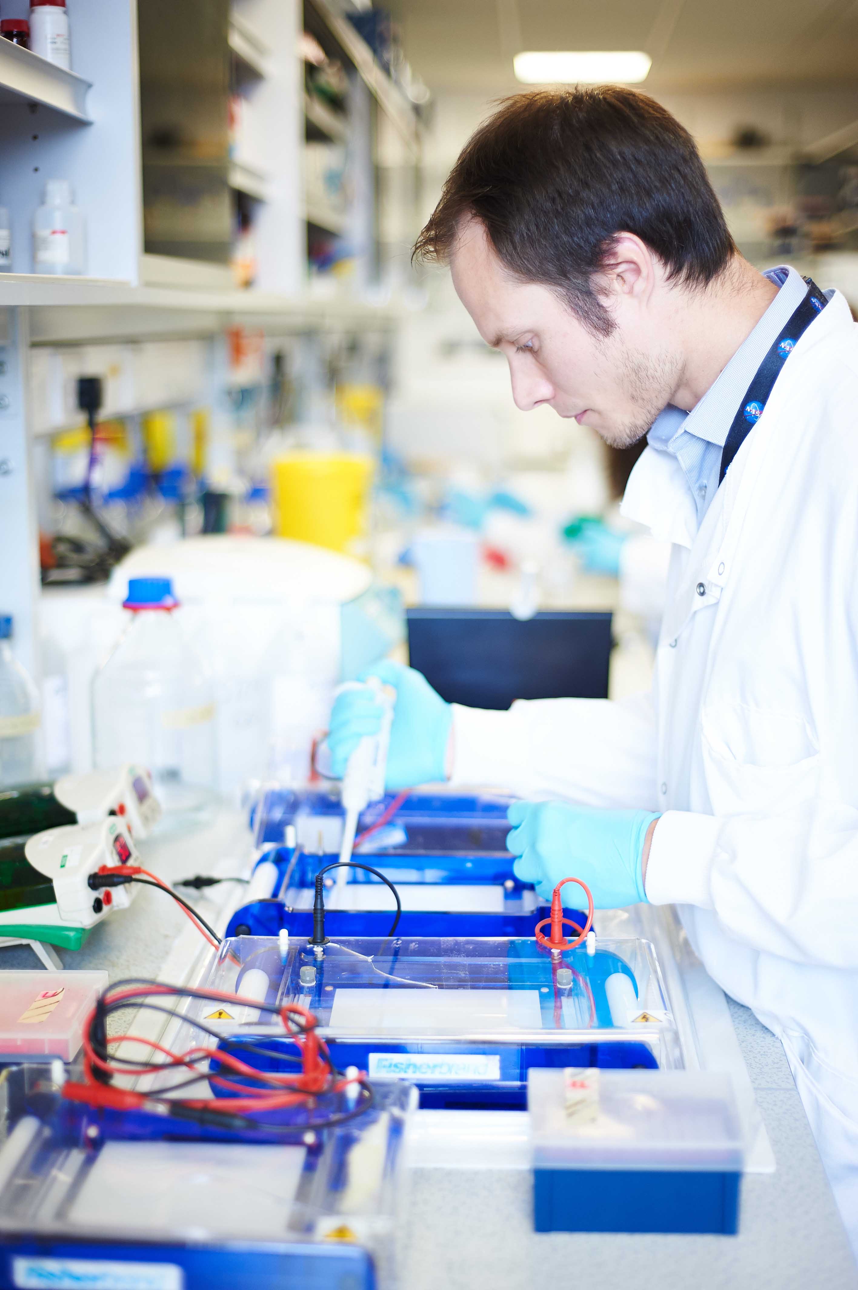 Dean Hallam Lako Project