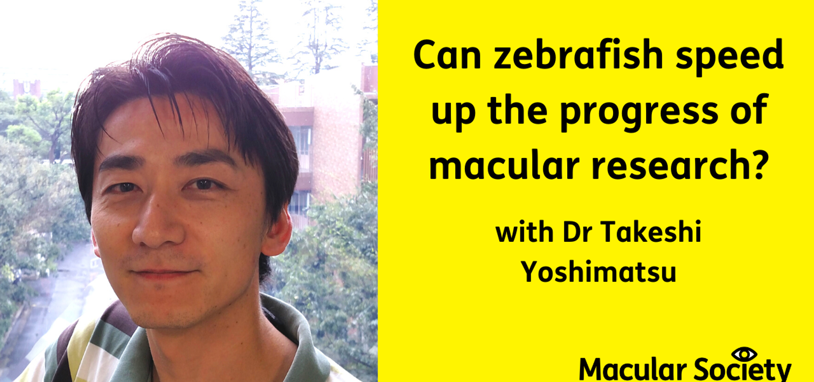 Zebra fish research with Dr Takeshi Yoshimatsu