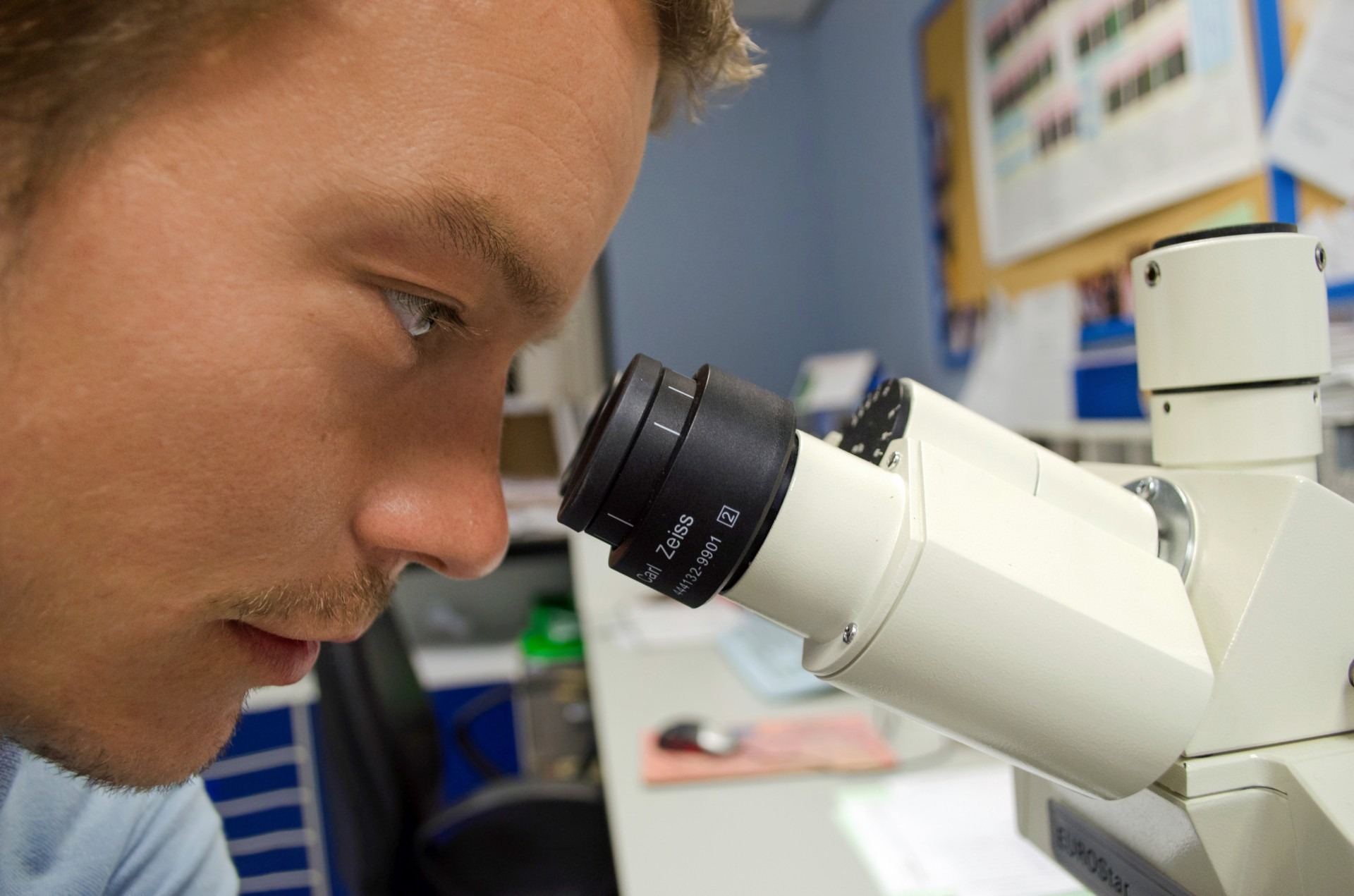 Researcher Looking into microscope