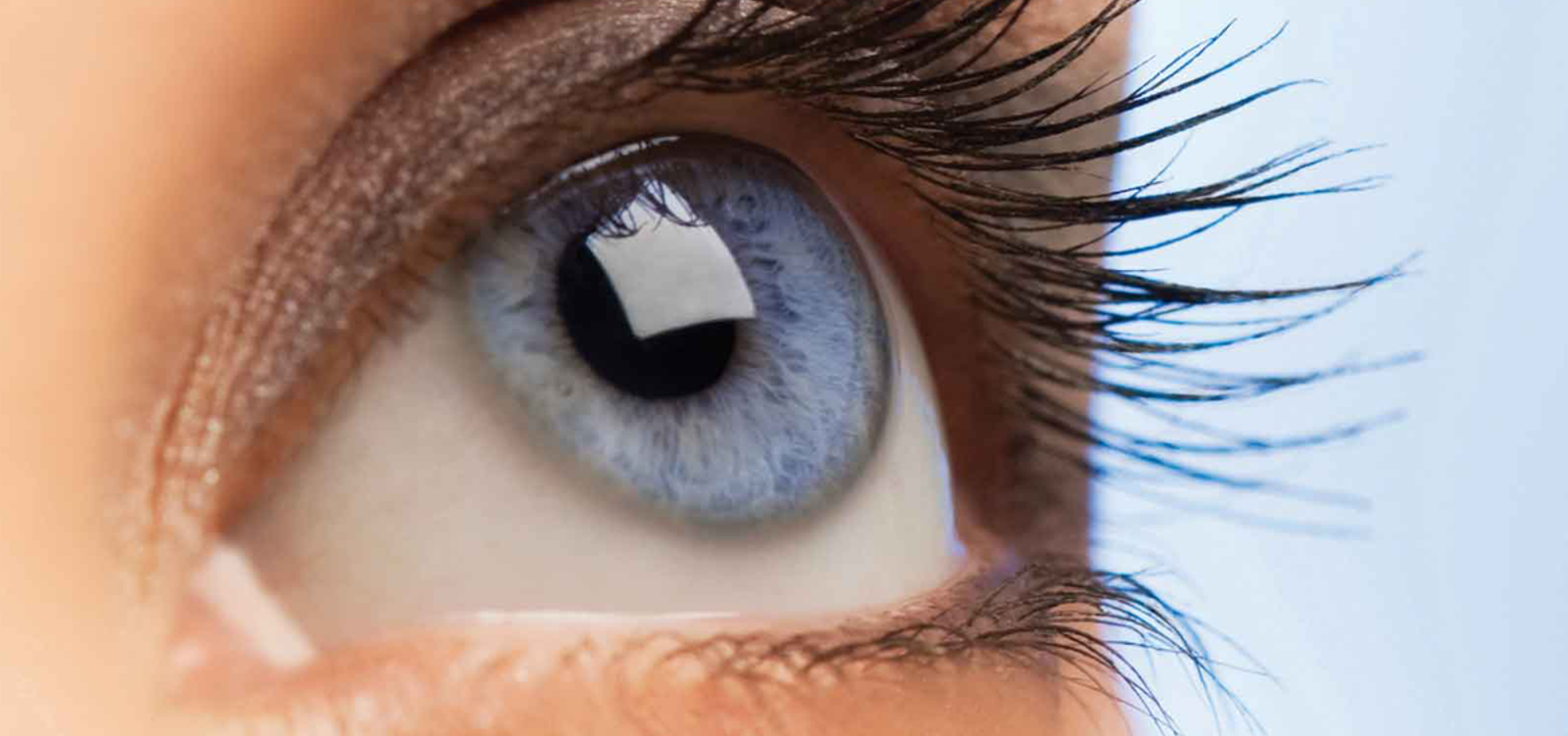 Blue eye looking up