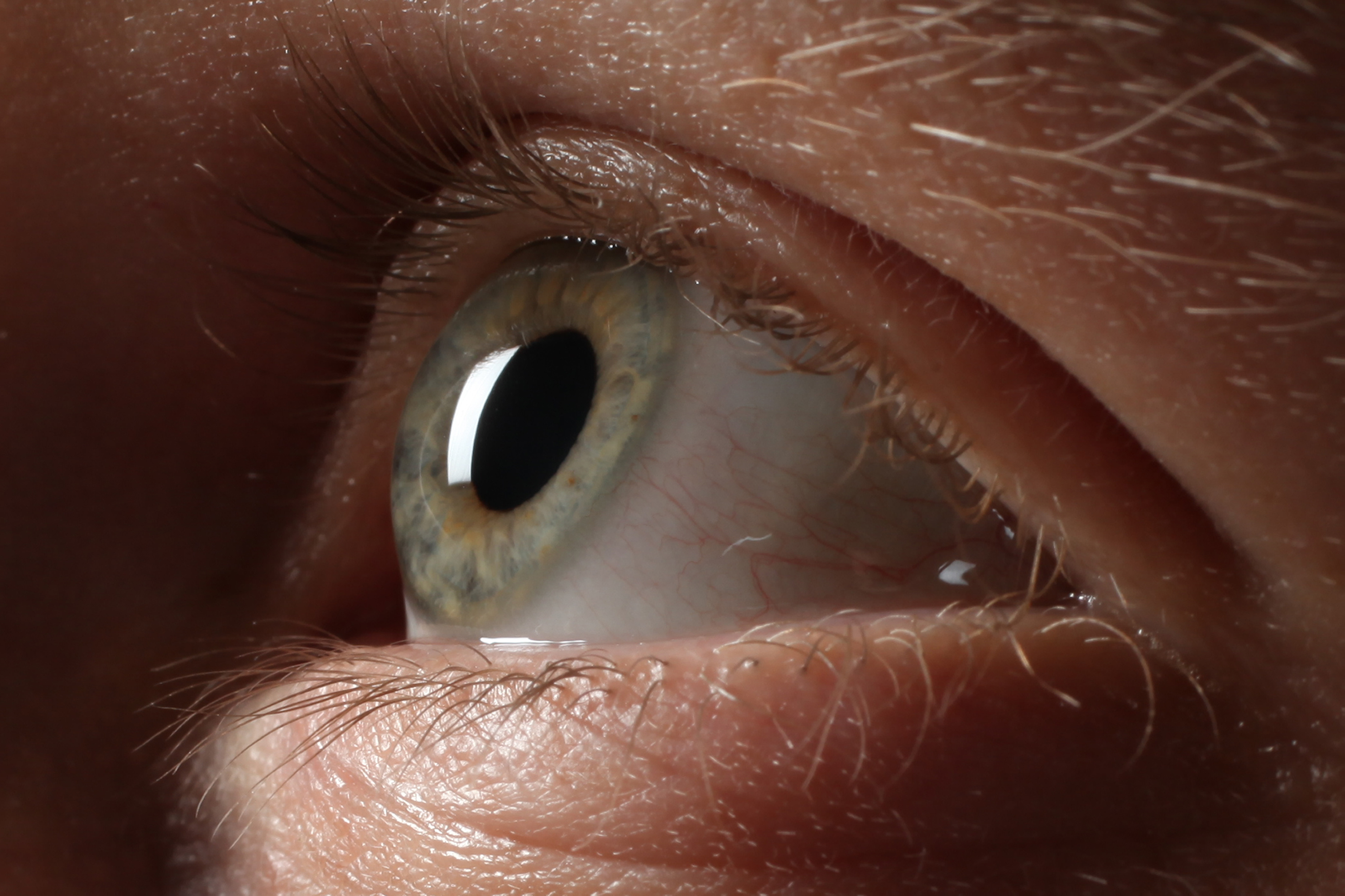 Side view close up brown eye