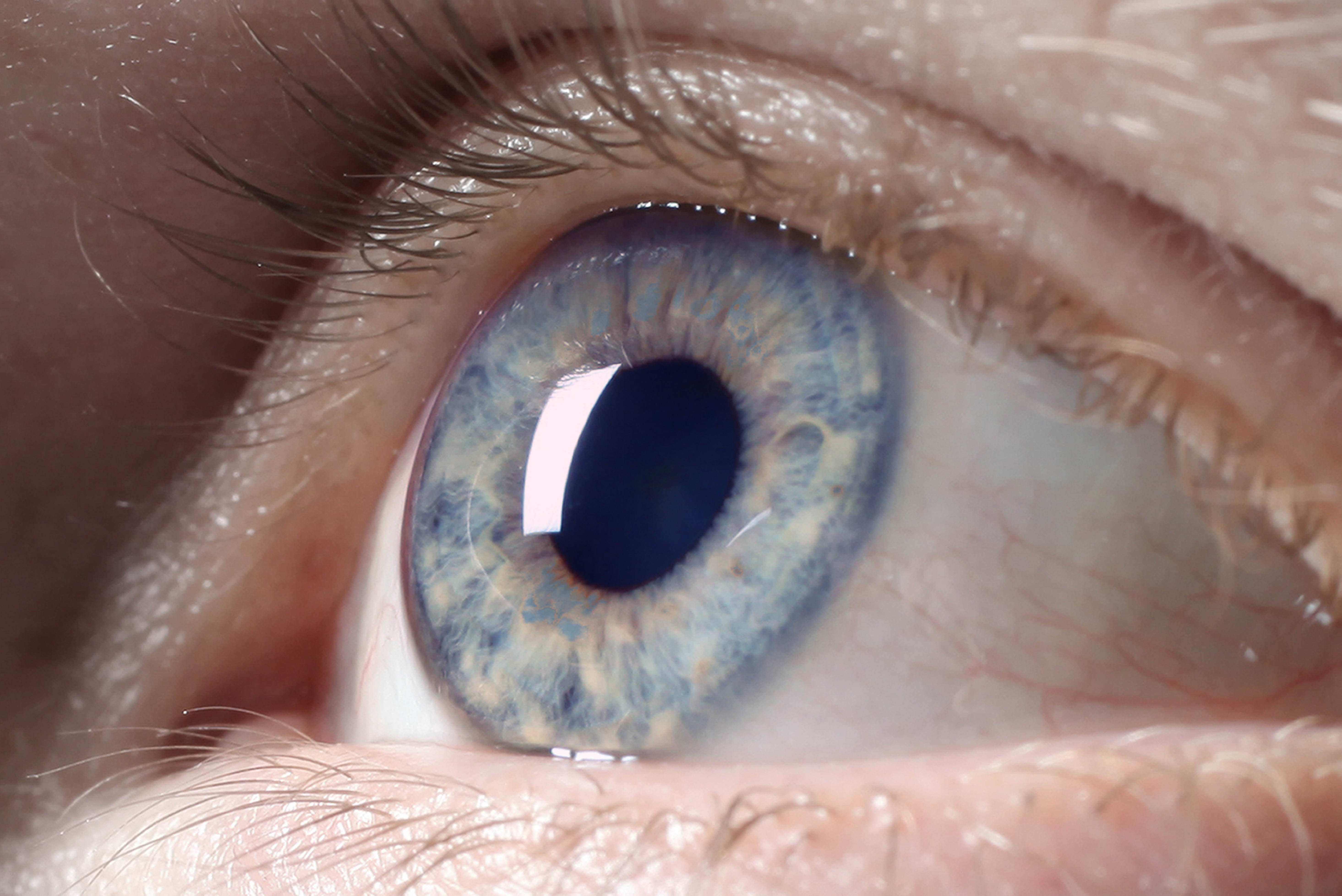 Light grey eye close up