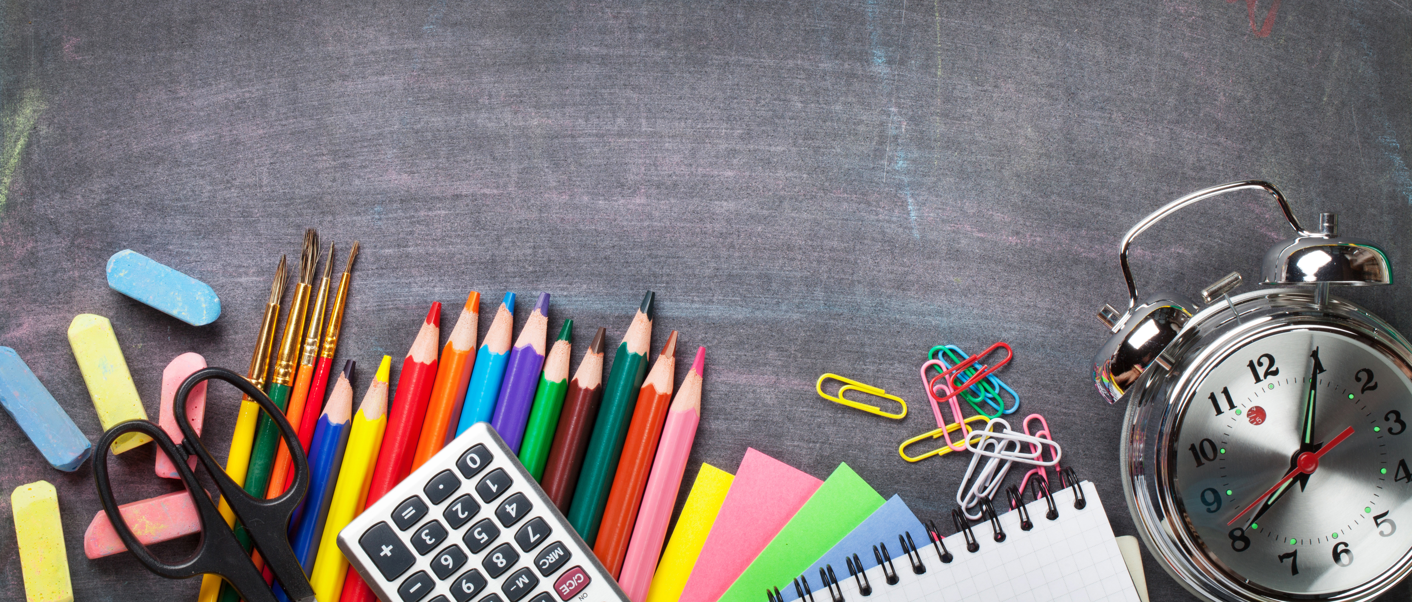 Teaching vision impaired students primary image