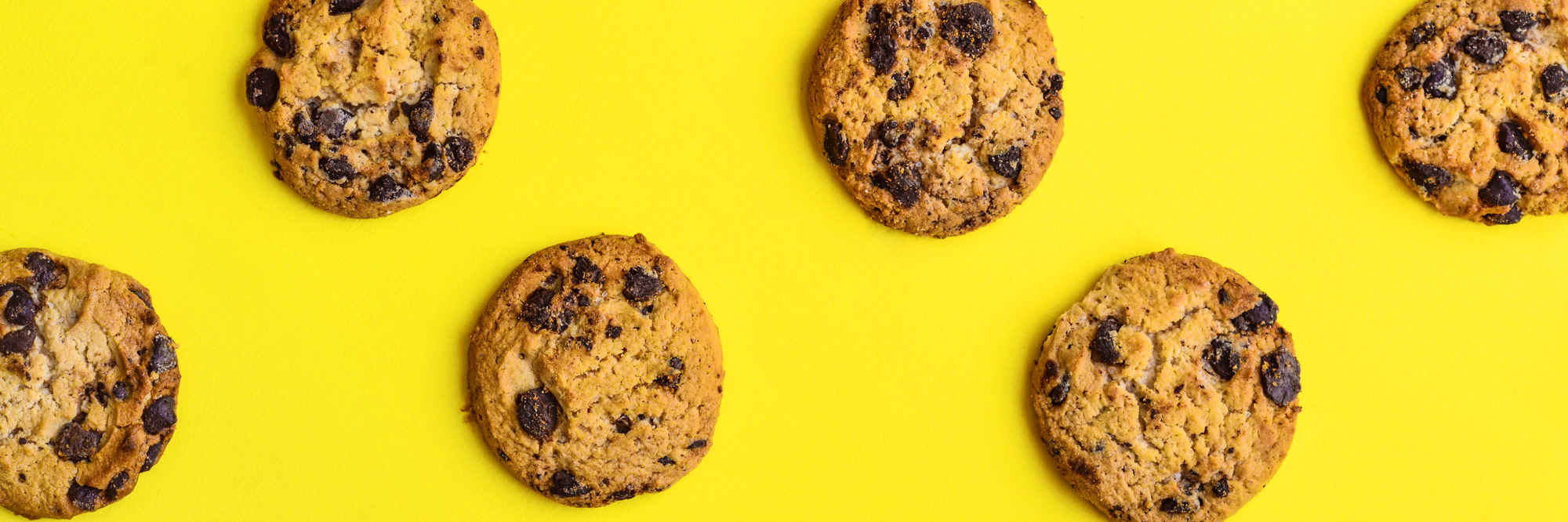 Cookie policy primary image